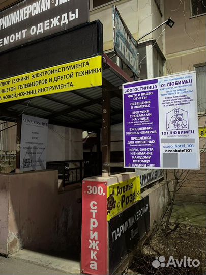 Зоогостиница для кошек