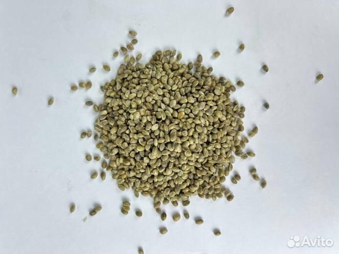 Конопляное семя / Для маслоделов