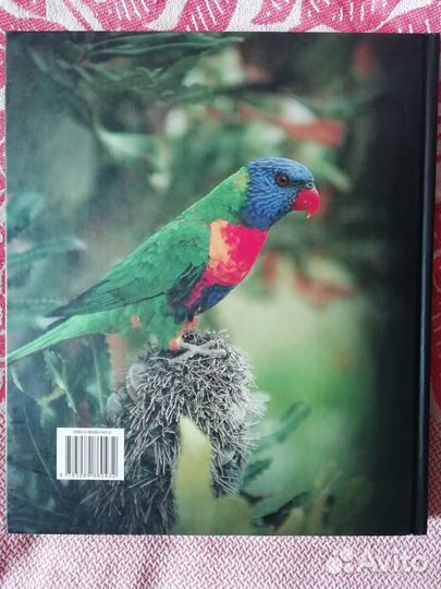 Энциклопедия Птицы мира Аванта