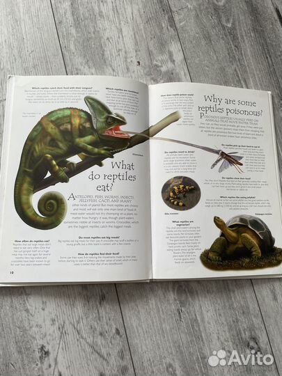 Энциклопедии для детей на Английском