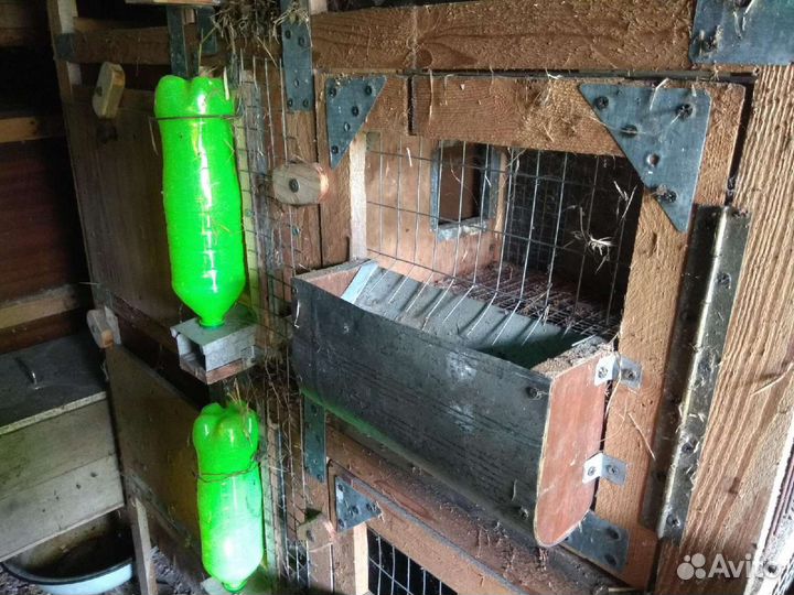 Клетка для кроликов