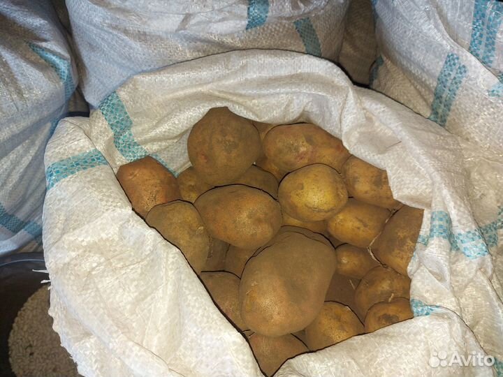 Картофель деревенский