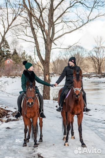 Конные прогулки