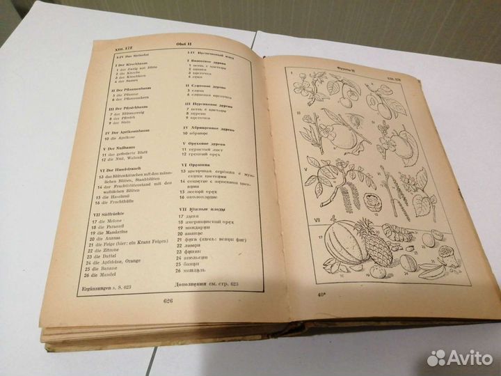 Иллюстрированный немецкий и русский словарь