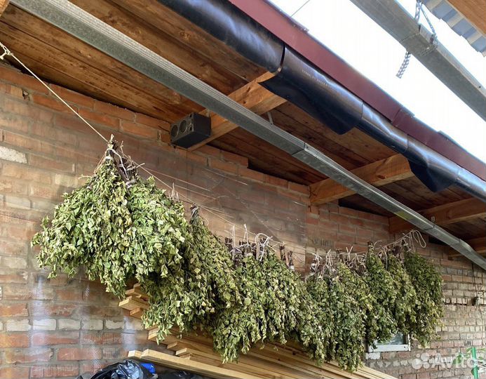 Веники для бани Берёзовые опт