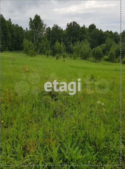 Участок 10,4 сот. (личное подсобное хозяйство (лпх))