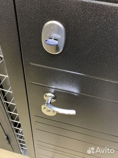 Двери. Металлические. Гарант. Сканди