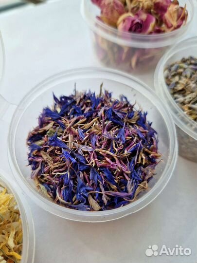 Травы сухоцветы и цветы для чая и декора