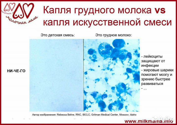 Грудное вскармливание