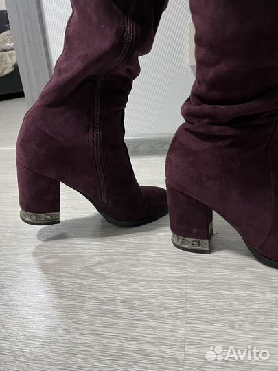 Сапоги женские замшевые