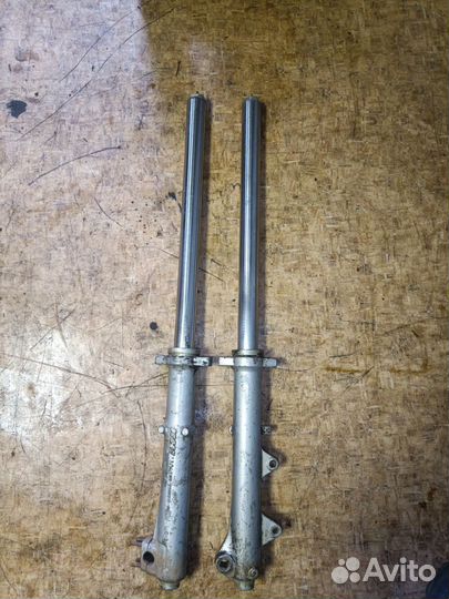 Перья иж орион