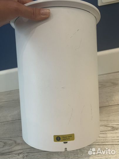 Автокормушка petwant для кошек и собак