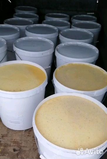 Орехи грецкие