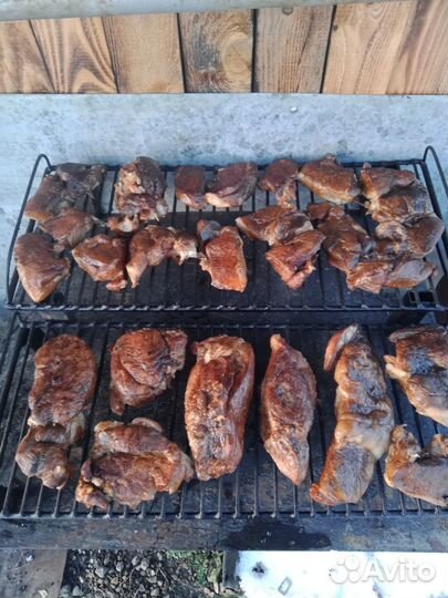 Бройлер и Индейка,Утка