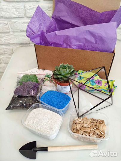 Набор для создания флорариума