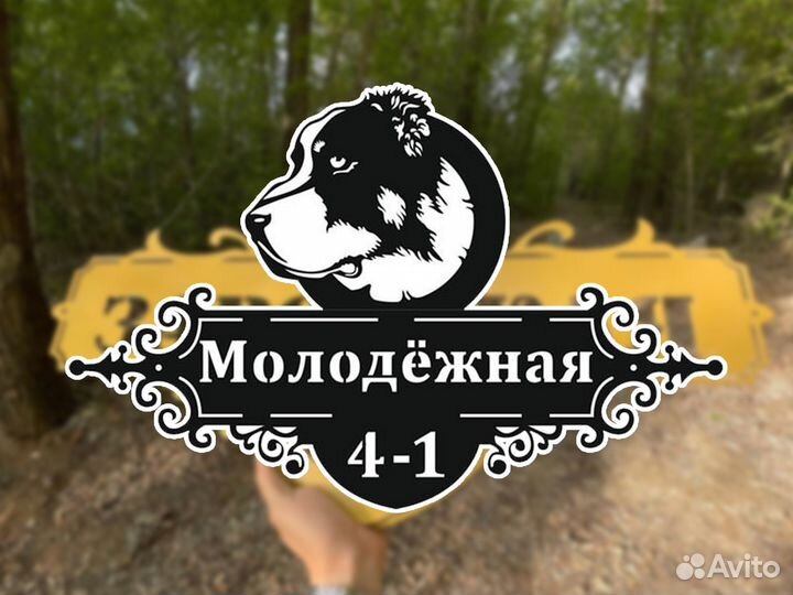 Адресные таблички металлические на дом, забор, дач