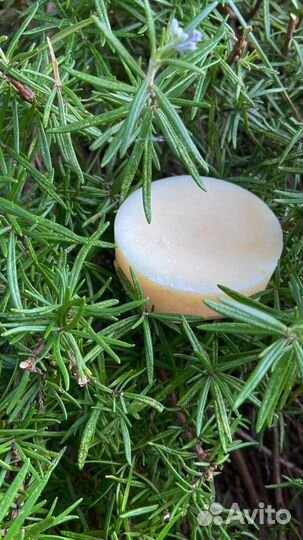 Твердый шампунь