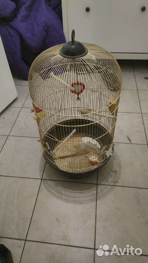 Клетка для попугая