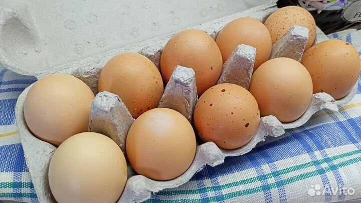 Свежие, деревенские яйца от домашних кур