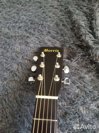 Акустическая гитара Morris w18