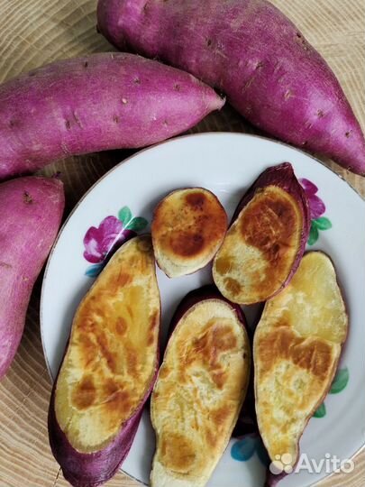 Батат сорт Наполеон