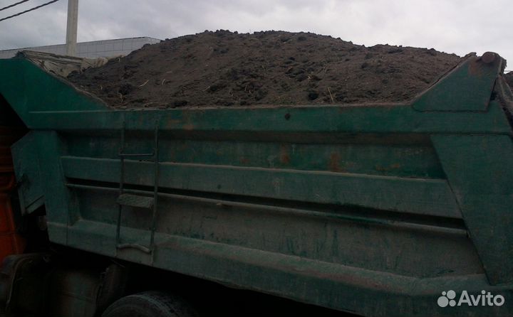 Чернозем плодородный