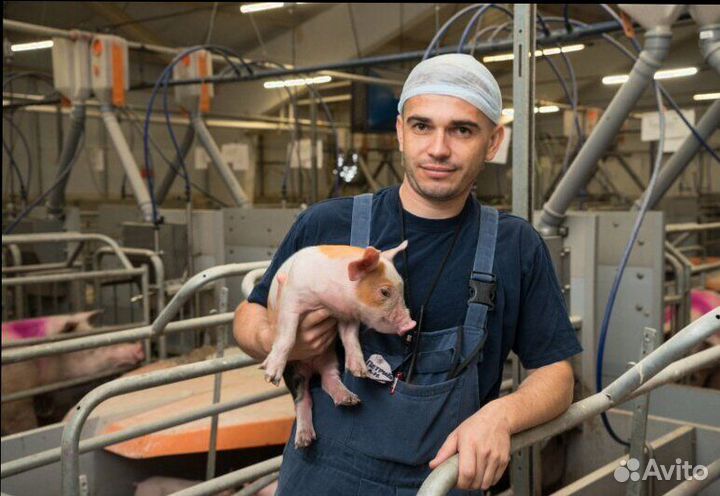 Работник по уходу за животными