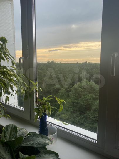 3-к. квартира, 62,8 м², 8/9 эт.