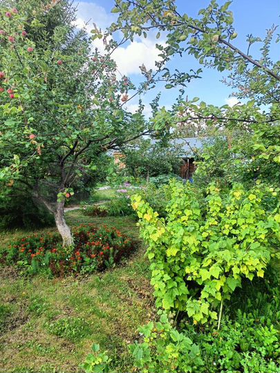 Дом 35 м² на участке 6 сот.