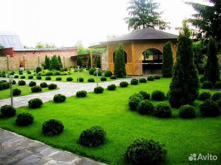 Рулонный газон /продажа/укладка