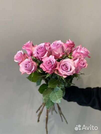 Роза 60см (Эквадор)