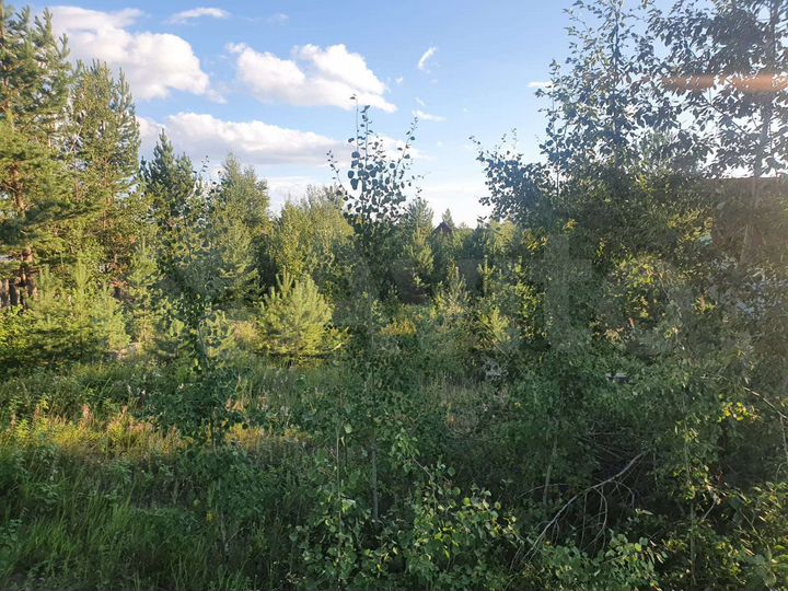 Участок 10 сот. (ИЖС)