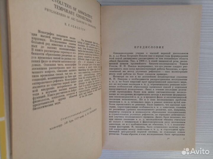Эволюция ассоциативных временных связей /Б.Сергеев