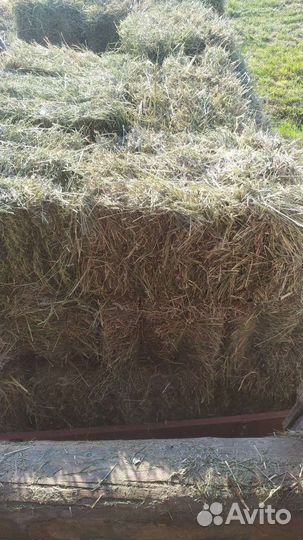 Сено в тюках