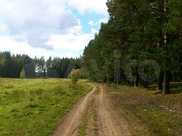 Участок 20 сот. (СНТ, ДНП)