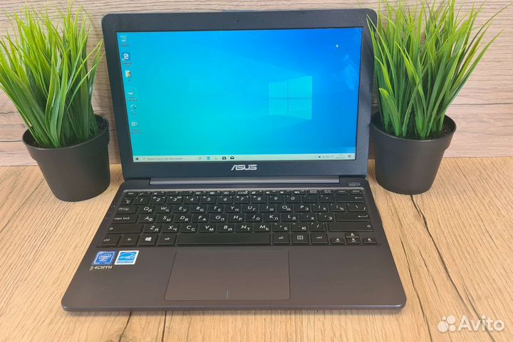Ноутбук asus E 203M