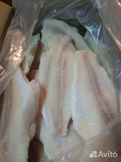 Филе пангасиуса