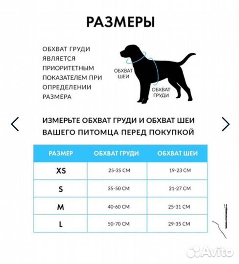 Анатомическая шлейка для маленьких и средних собак