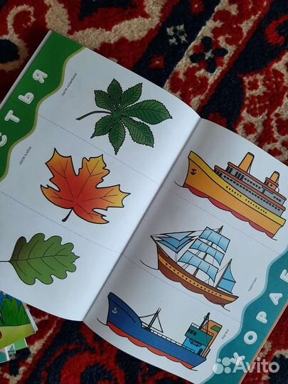 Школа 7 гномов 1+