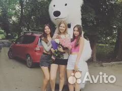 Поздравление белого и мишки панды.Ростовые куклы