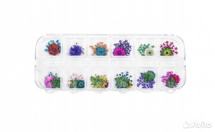 Сухоцветы для маникюра