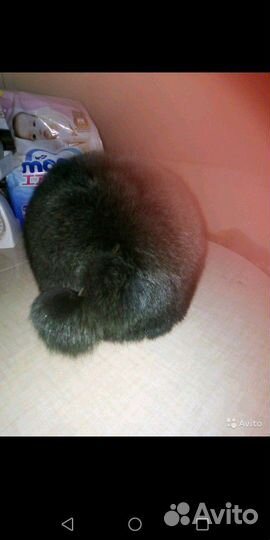 Шапки разные