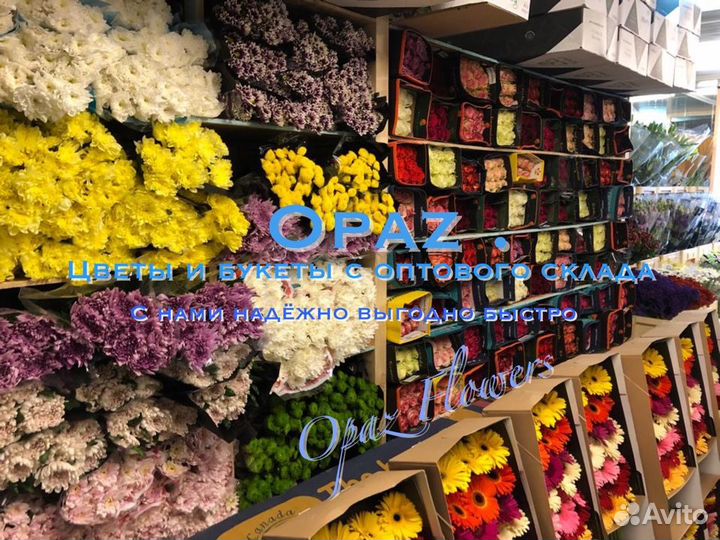 Цветы букеты гипсофила