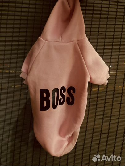 Одежда для собак