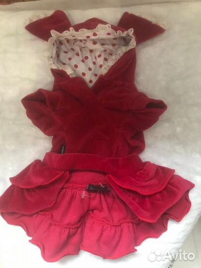 Одежда для собак мелких пород