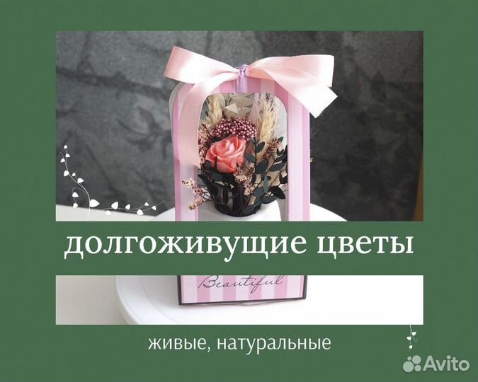 Цветы живые стабилизированные