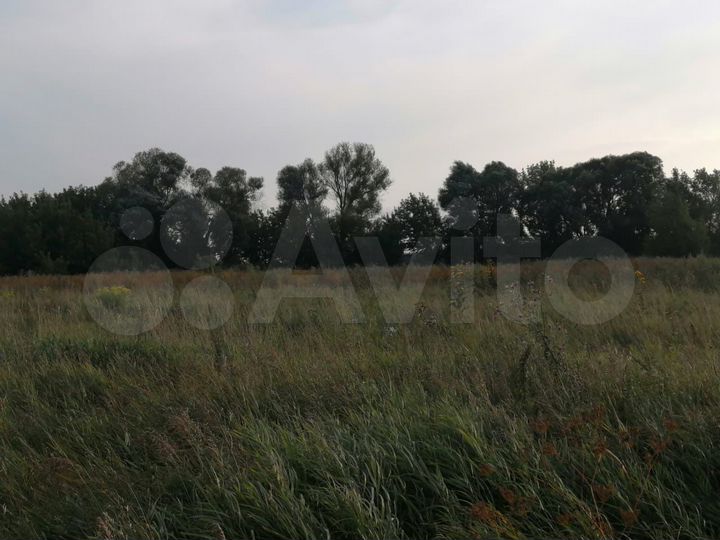 Участок 1,98 га (ИЖС)