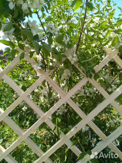 Шпалера деревянная