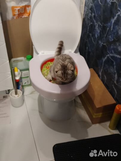 Лоток для приучения кошек к унитазу. Многоразовый