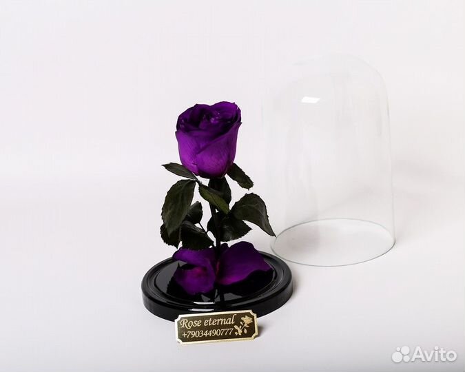 Подарок на 8 марта/ Роза в колбе опт